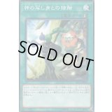 〔状態B〕神の写し身との接触【ノーマル】{SD37-JP024}《魔法》