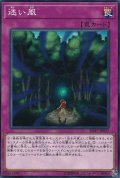 迷い風【ノーマル】{SD37-JP037}《罠》
