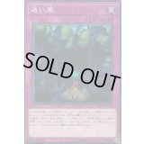 〔状態B〕迷い風【ノーマル】{SD37-JP037}《罠》