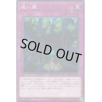 迷い風【ノーマル】{SD37-JP037}《罠》