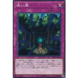 画像1: 迷い風【ノーマル】{SD37-JP037}《罠》