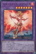 エルシャドールエグリスタ【ウルトラ】{SD37-JP041}《融合》