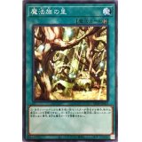 魔法族の里【ノーマル】{SD39-JP023}《魔法》
