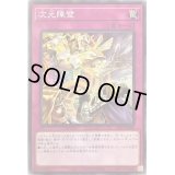 〔状態B〕次元障壁【ノーマル】{SD39-JP038}《罠》