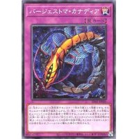 バージェストマカナディア【ノーマル】{SD41-JP040}《罠》