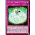 シンクロゾーン【ノーマル】{SD48-JP030}《罠》