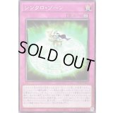 シンクロゾーン【ノーマル】{SD48-JP030}《罠》