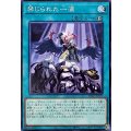 禁じられた一滴【ノーマル】{SD48-JP029}《魔法》