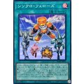 シンクロフェローズ【スーパー】{SD48-JPP05}《魔法》