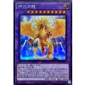 神光の龍【シークレット】{LEDE-JP038}《融合》