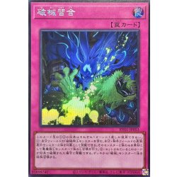 画像1: 破械習合【シークレット】{RV01-JP053}《罠》