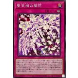 聖天樹の開花【ノーマル】{SLT1-JP039}《罠》