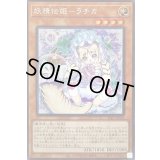 〔状態B〕☆アジア☆妖精伝姫ラチカ【シークレット】{アジアSLT1-JP018}《モンスター》