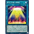 転生炎獣の降臨【ノーマル】{SOFU-JP052}《魔法》