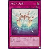 奇跡の光臨【ノーマル】{SR12-JP035}《罠》