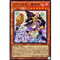 幻惑の見習い魔術師【ウルトラ】{STSP-JP005}《モンスター》