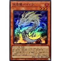 天盃龍パイドラ【スーパー】{LEDE-JP016}《モンスター》