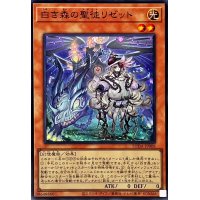 〔状態B〕白き森の聖徒リゼット【スーパー】{SUDA-JP008}《モンスター》