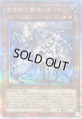 〔状態A-〕白き森の聖徒リゼット【クォーターセンチュリーシークレット】{SUDA-JP008}《モンスター》