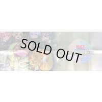 紙製プレイマット『霊使い(四霊使い＆使い魔)』【-】{-}《プレイマット》