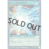 滅びの爆裂疾風弾【ノーマル】{RD/SD0A-JP029}《RD魔法》