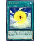 〔状態A-〕蘇生の蜂玉【レア】{CP19-JP044}《魔法》
