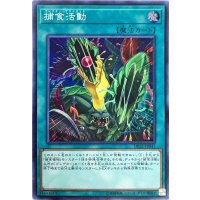 〔状態B〕捕食活動【スーパー】{DP22-JP047}《魔法》