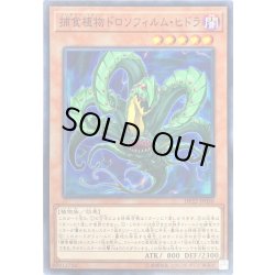 画像1: 捕食植物ドロソフィルムヒドラ【ノーマル】{DP22-JP050}《モンスター》