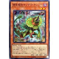画像1: 〔状態B〕捕食植物サンデウキンジー【ノーマル】{DP22-JP051}《モンスター》