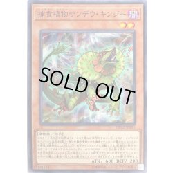 画像1: 〔状態B〕捕食植物サンデウキンジー【ノーマル】{DP22-JP051}《モンスター》