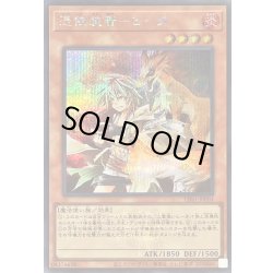 画像1: 〔状態A-〕憑依装着ヒータ(ロゴ/フード無)【シークレット】{TDS1-JPP03}《モンスター》