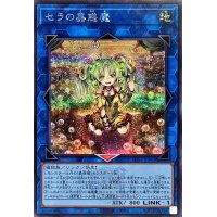〔状態A-〕セラの蟲惑魔(ロゴ)【シークレット】{TDS2-JPP03}《リンク》