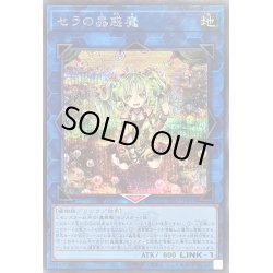 画像1: 〔状態B〕セラの蟲惑魔(ロゴ)【シークレット】{TDS2-JPP03}《リンク》