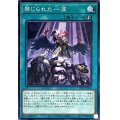 禁じられた一滴【ノーマル】{TT01-JPA24}《魔法》