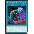 墓穴の指名者【ノーマル】{TT01-JPA23}《魔法》