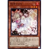 灰流うらら【ノーマル】{TT01-JPA09}《モンスター》