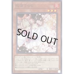 画像1: 〔状態B〕灰流うらら【ノーマル】{TT01-JPA09}《モンスター》