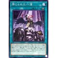 〔状態B〕禁じられた一滴【ノーマル】{TT01-JPB23}《魔法》