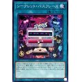 シークレットパスフレーズ【ノーマル】{TT01-JPB13}《魔法》