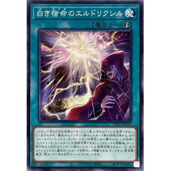 画像1: 白き宿命のエルドリクシル【ノーマル】{TT01-JPC07}《魔法》