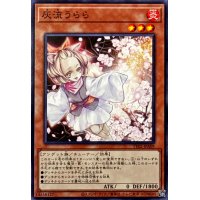 灰流うらら【ノーマル】{TT02-JPA09}《モンスター》