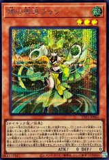 珠の御巫フゥリ(立ち)【シークレット】{TTP1-JP062}《モンスター》