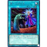 〔状態B〕墓穴の指名者【シークレット】{TTP1-JP086}《魔法》