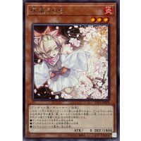 〔状態B〕灰流うらら【レア】{TTP1-JP078}《モンスター》
