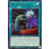 墓穴の指名者【レア】{TTP1-JP086}《魔法》