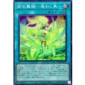 御巫舞踊迷わし鳥【スーパー】{TTP1-JP071}《魔法》