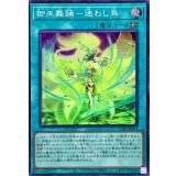 御巫舞踊迷わし鳥【スーパー】{TTP1-JP071}《魔法》