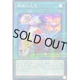煉獄の災天【ノーマルパラレル】{TW01-JP117}《魔法》