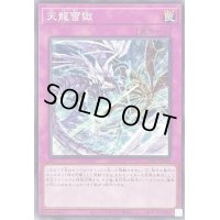 天龍雪獄【ノーマル】{TW01-JP049}《罠》