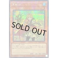 霊獣使いレラ【シークレットパラレル】{TW01-JP126}《モンスター》